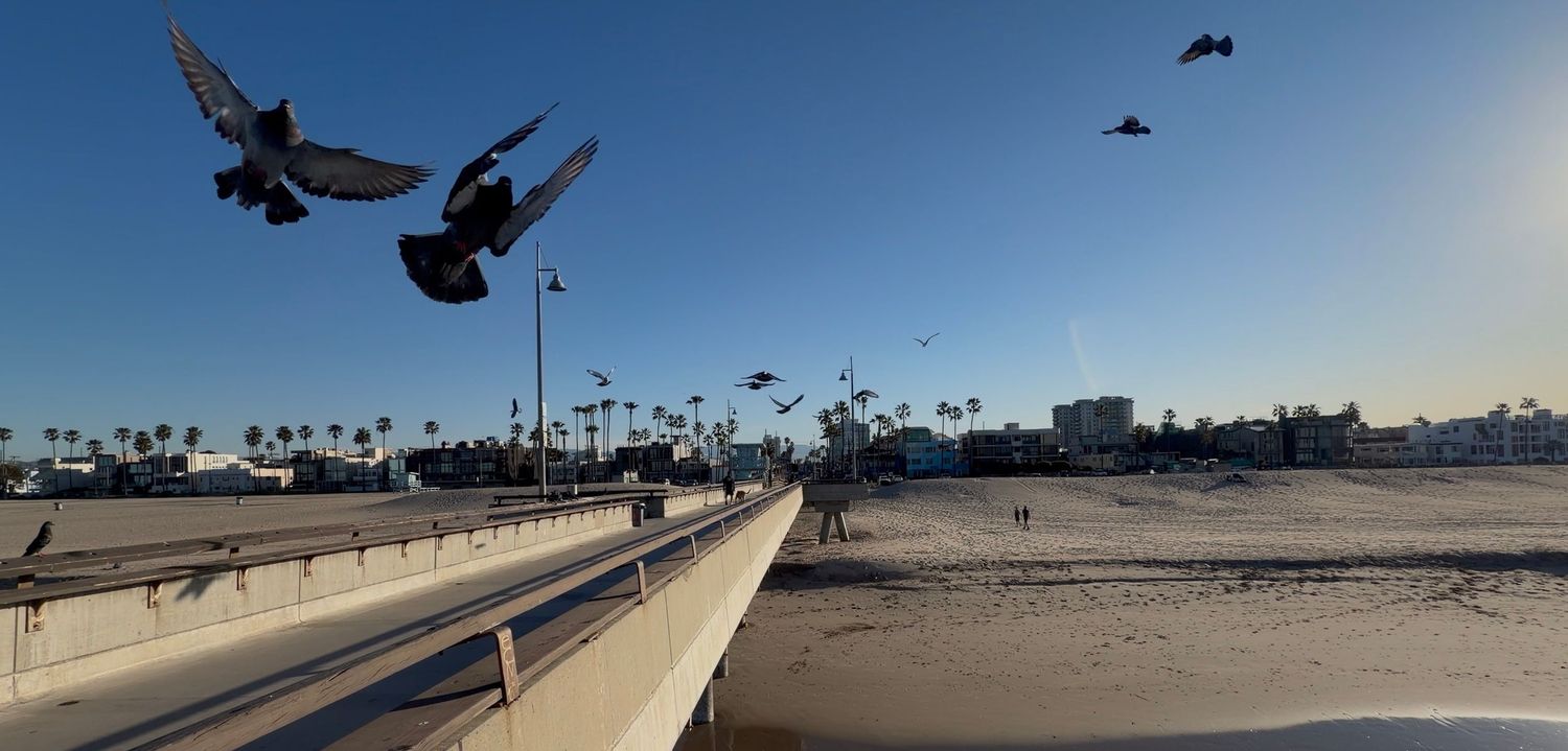A skateboarder performs a high-flying aerial trick off a ramp against a blue sky with birds in flight.