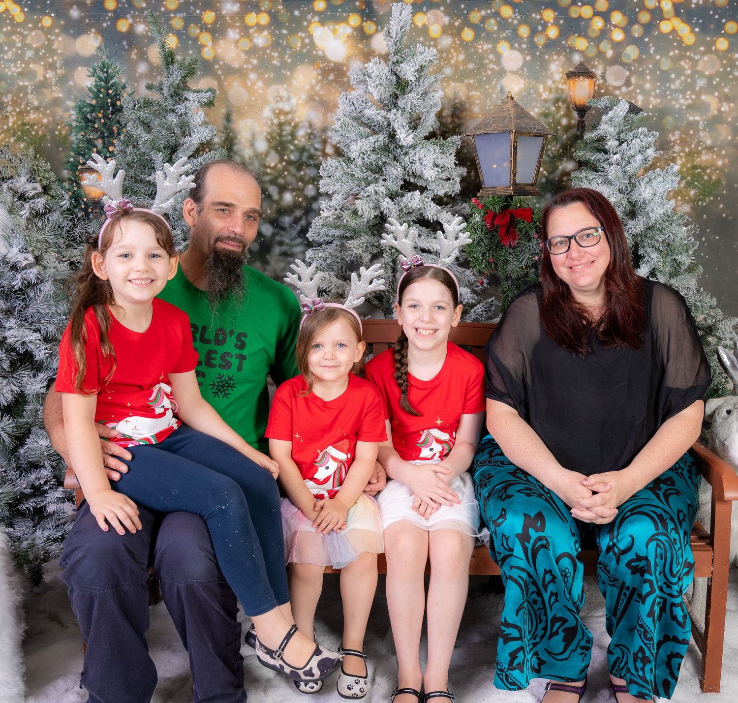 Holiday themed photography backdrop with twinkling lights and snowy decorations.