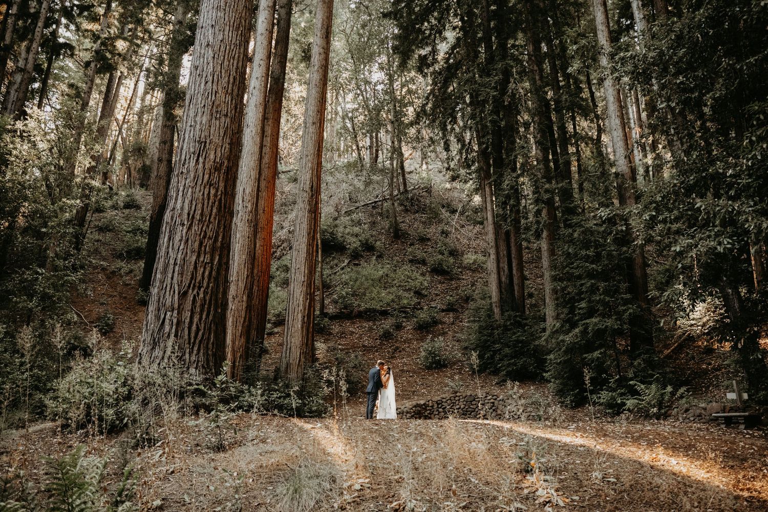 santa cruz wedding venues