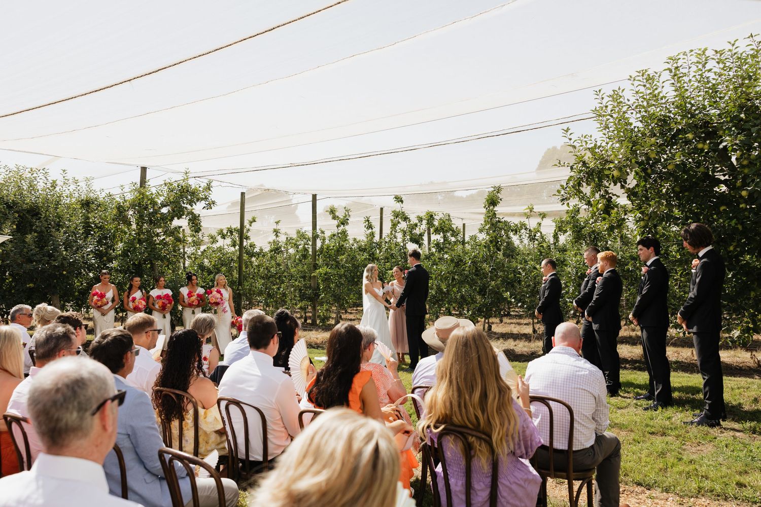 Outdoor wedding ceremony in an orchard with guests seated on white chairs beneath string lights and trees.