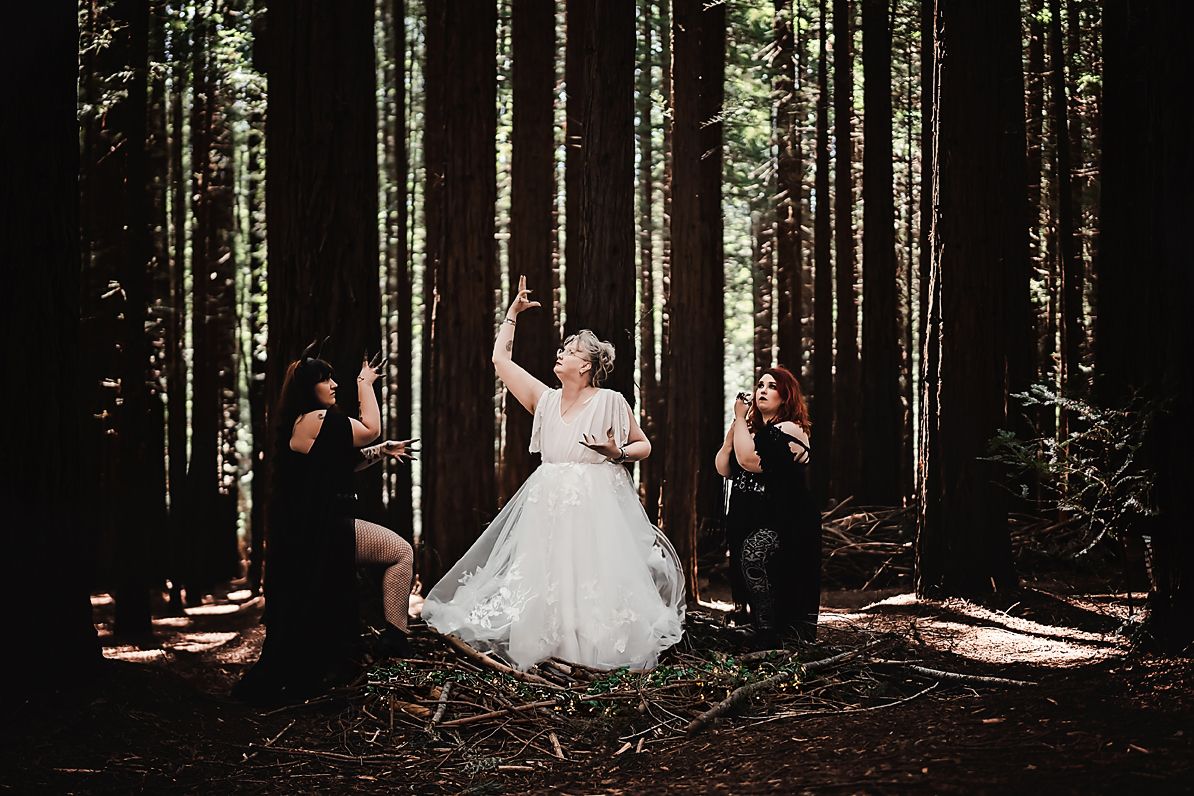 A bride in a flowing white gown poses in a sunlit forest of tall trees creating a magical forest wedding scene.
