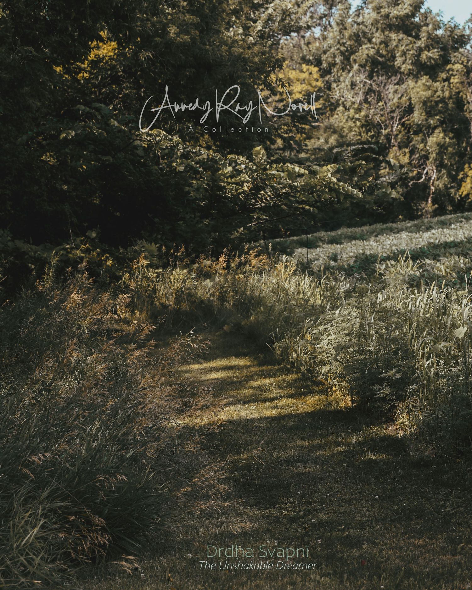 Scenic autumn woodland path through golden trees and foliage with dappled sunlight creating a natural archway.
