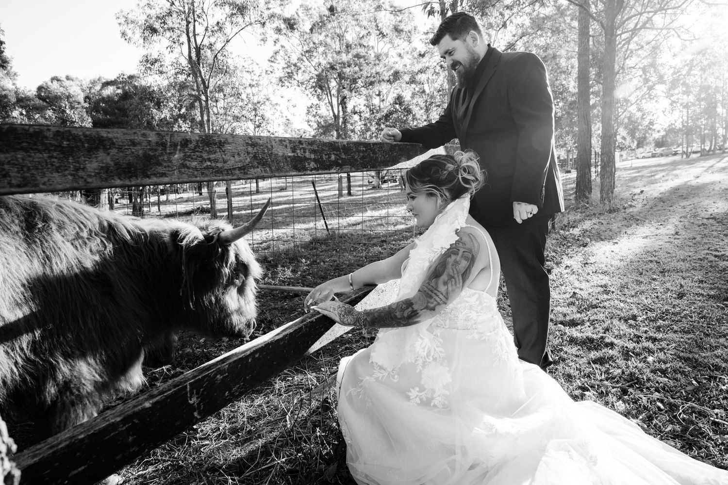 A person and cat interact outdoors in a series of black and white photographs showing playful moments together.