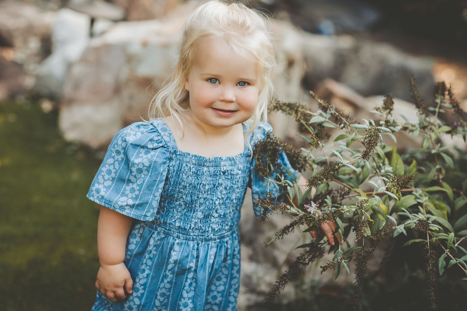 Asheville Family Photography - Izabella 2 year Portraits - Katy Cook Photography Asheville Family Photography - Izabella 2 year Portraits - Katy Cook Photography