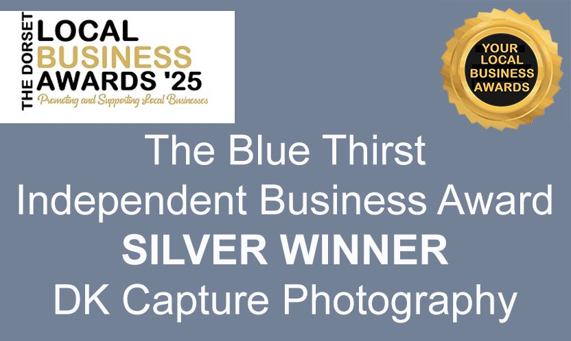 Award badge and text showing The Blue Thirst Independent Business Award Silver Winner for DK Capture Photography.