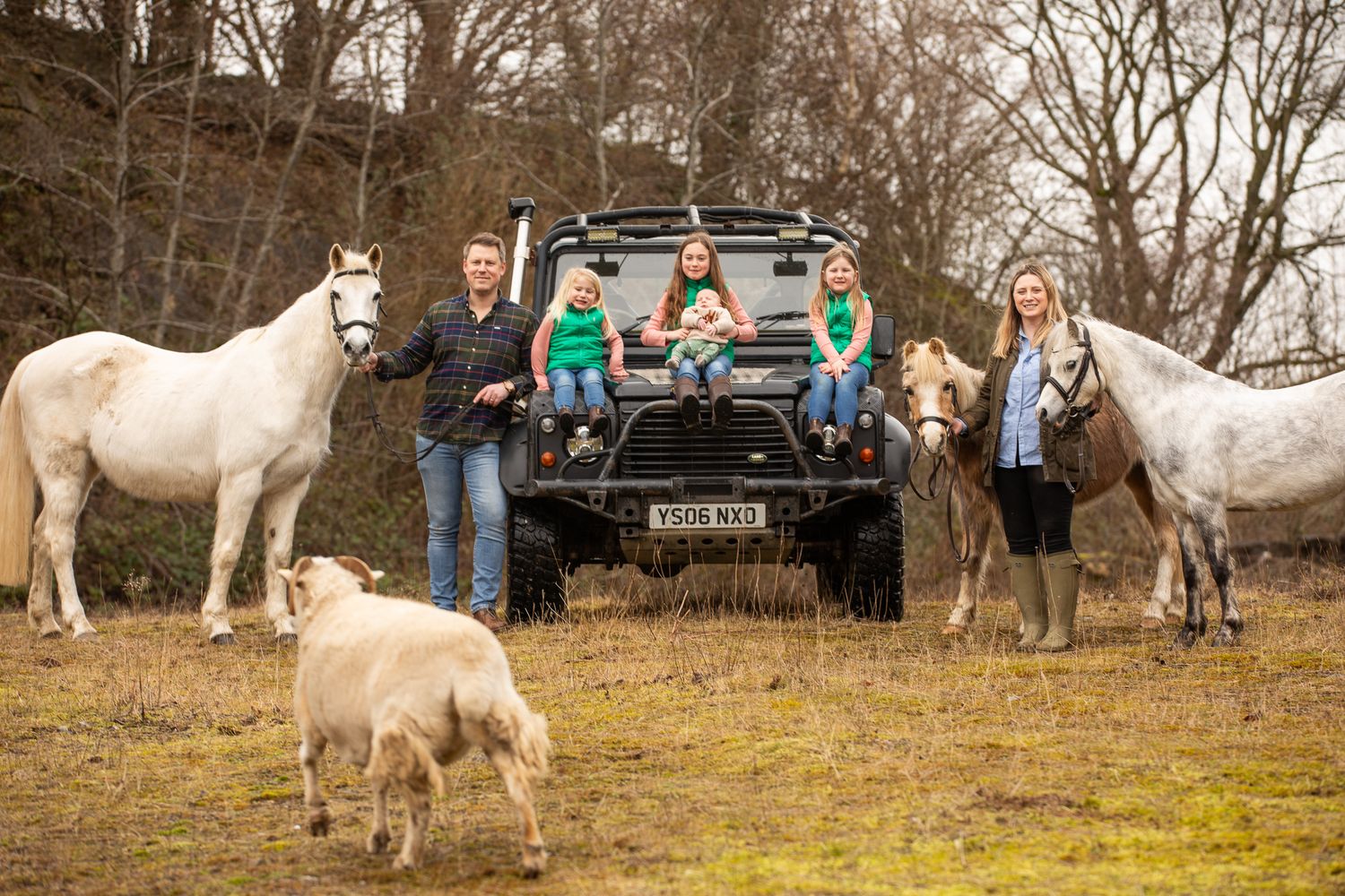 A group gathers around a black pickup truck with two white horses on a ranch in autumn.