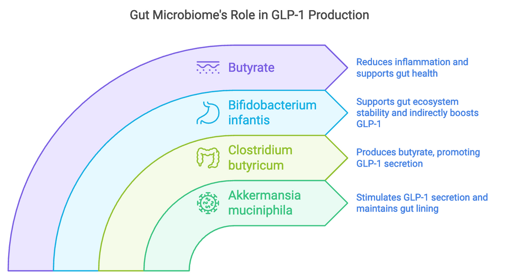 GLP-1 & Your Gut: What You Need to Know - bioma.health