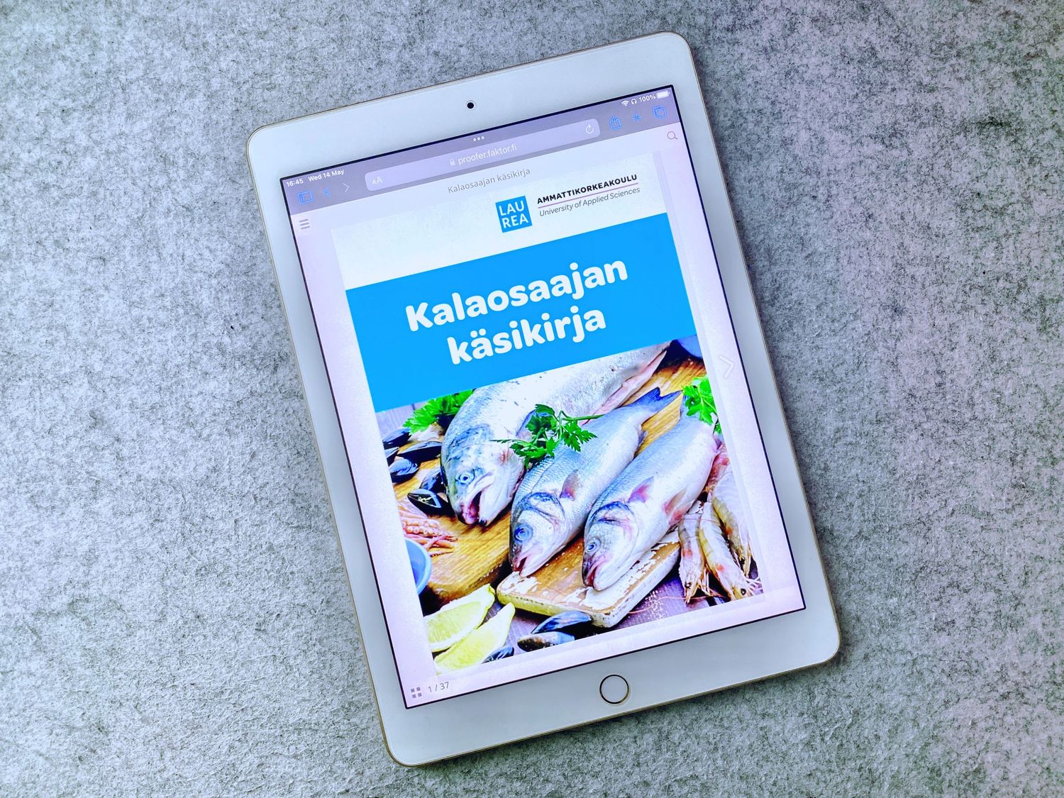 Kalaosaajan Käsikirja - Fish Expert's Handbook - Photo by © Reka Csulak - Three Pod Studio