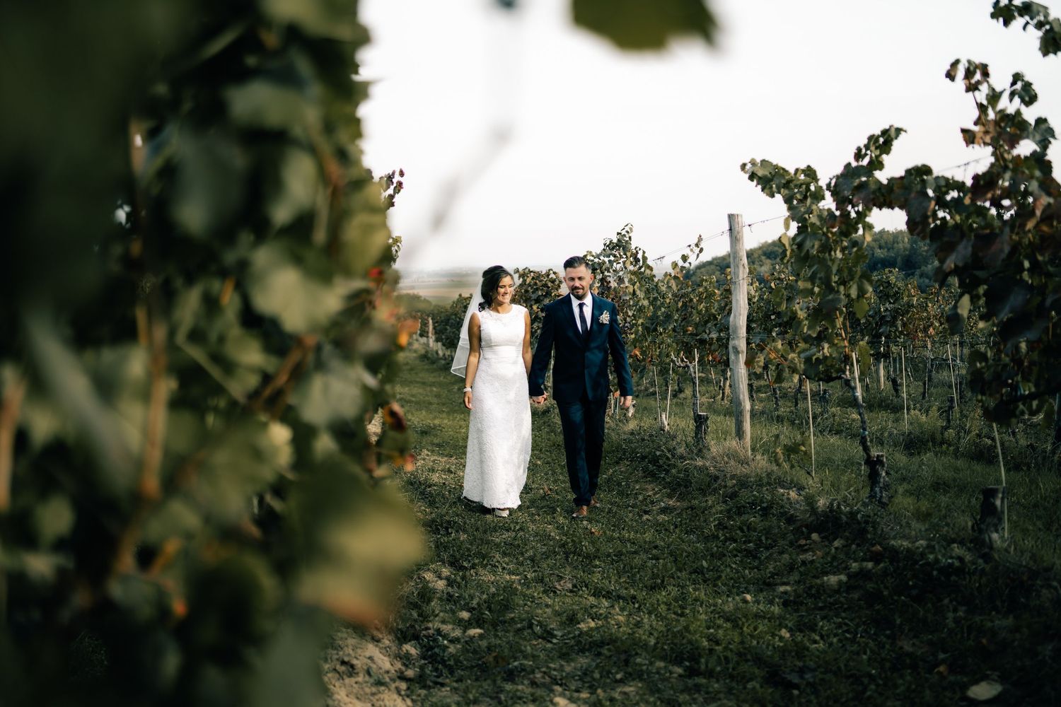 Newlyweds walking together through scenic vineyard rows on their wedding day.