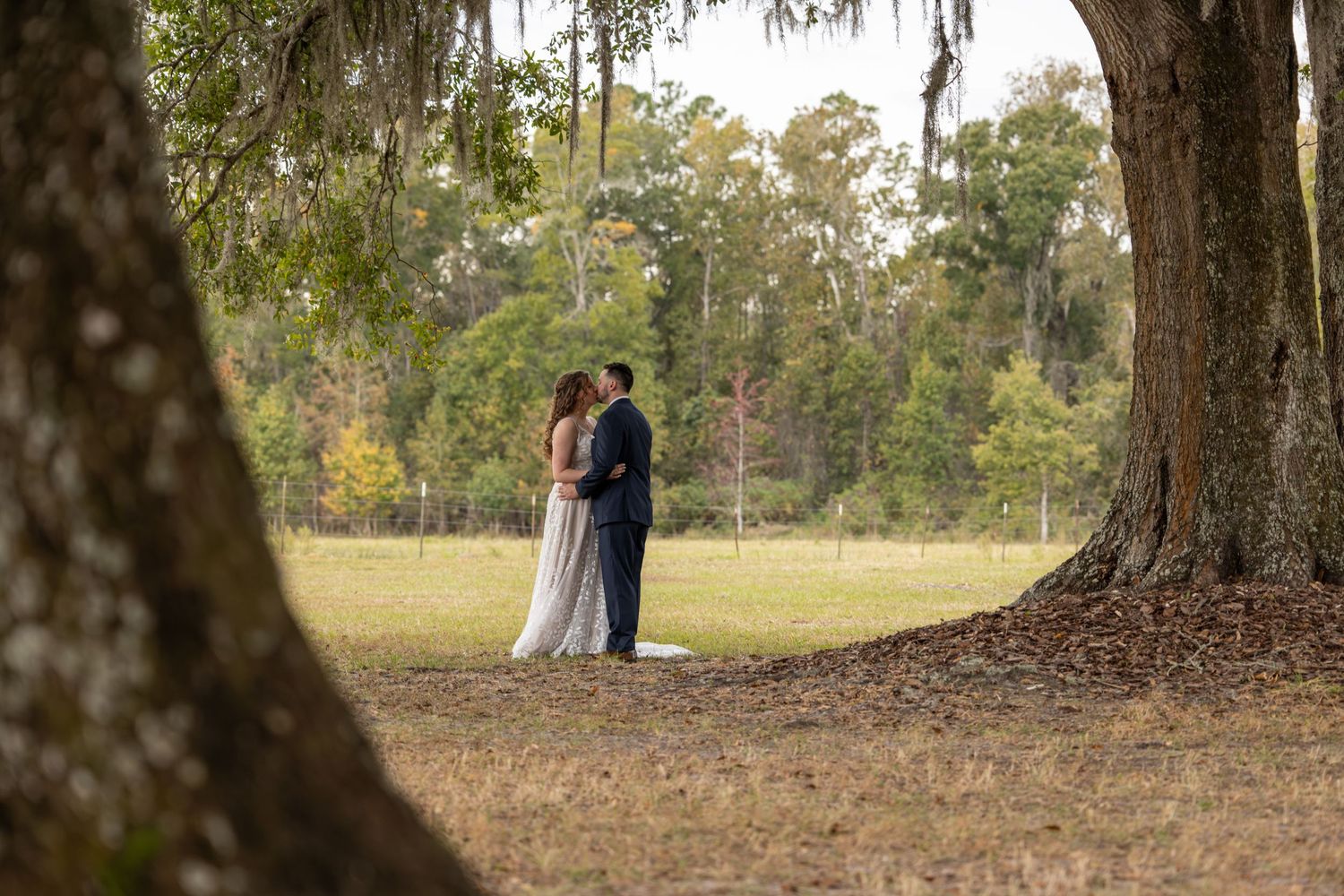 A couple shares a romantic moment under a large oak tree in a scenic park setting during golden hour.