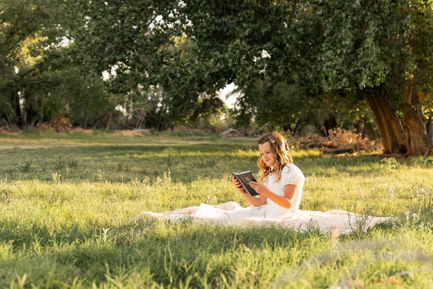 Young woman in white dress reading a book on a blanket in a sunny green meadow under a large tree.
