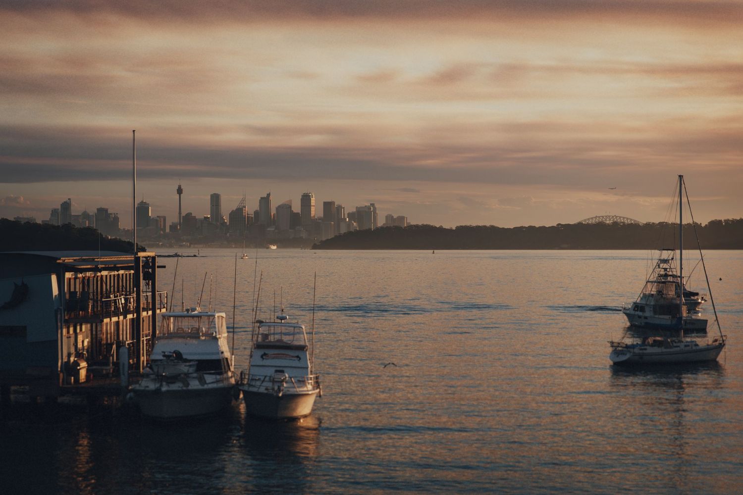 Outdoor wedding ceremony with Sydney city skyline backdrop, guests seated watching couple exchange vows on elegant terrace.