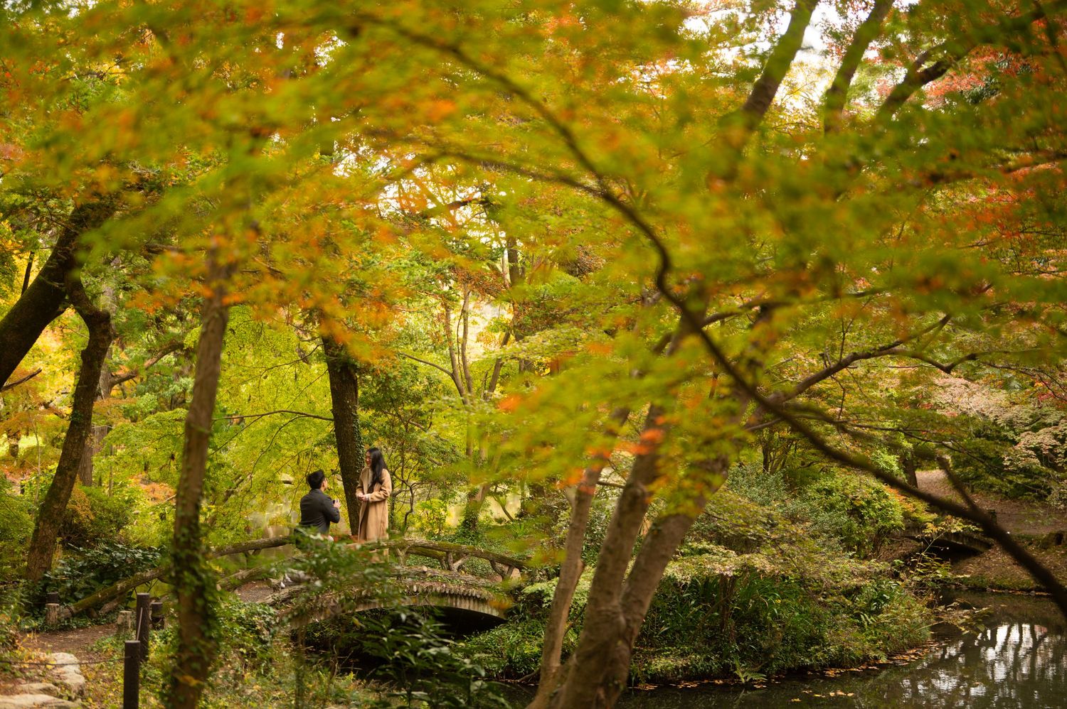 Couple standing on a stone bridge surrounded by vibrant autumn foliage in a Japanese garden.
