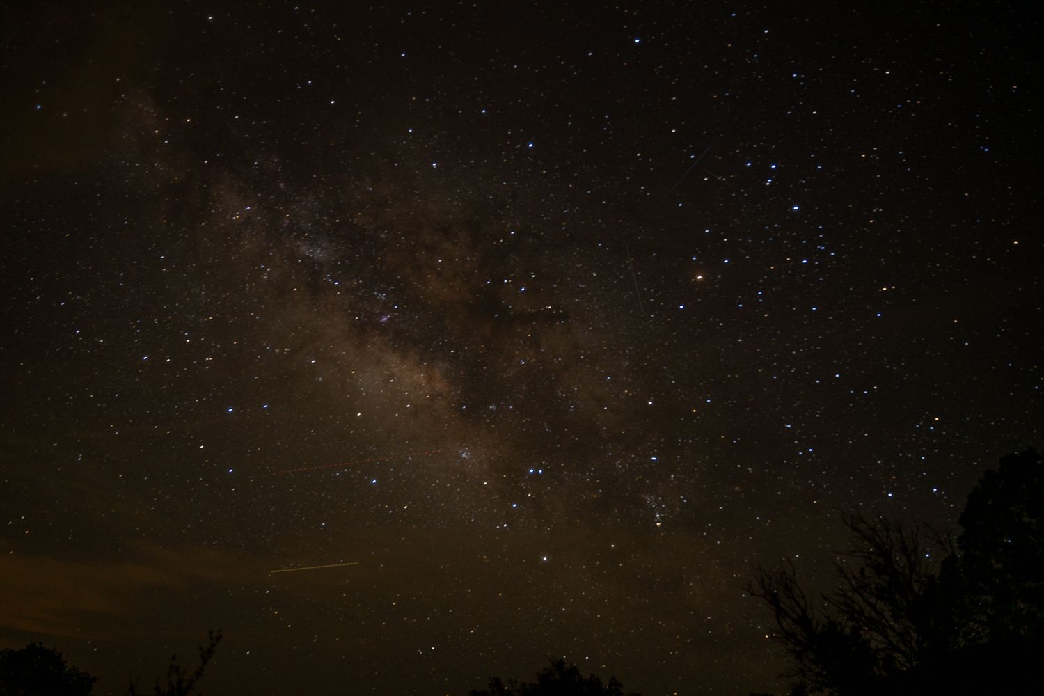 A panoramic view of the starlit night sky with silhouetted evergreen trees and a line of mountain peaks in the distance.