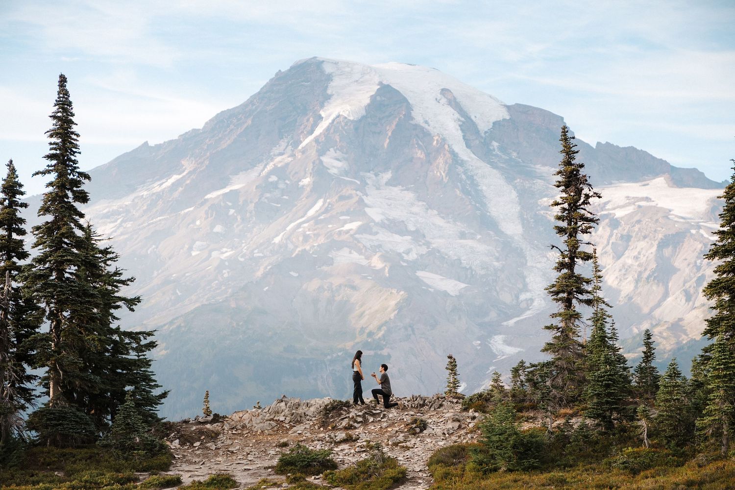 A scenic view of Mount Rainier with evergreen trees in the foreground and a rocky ridge stretching out.