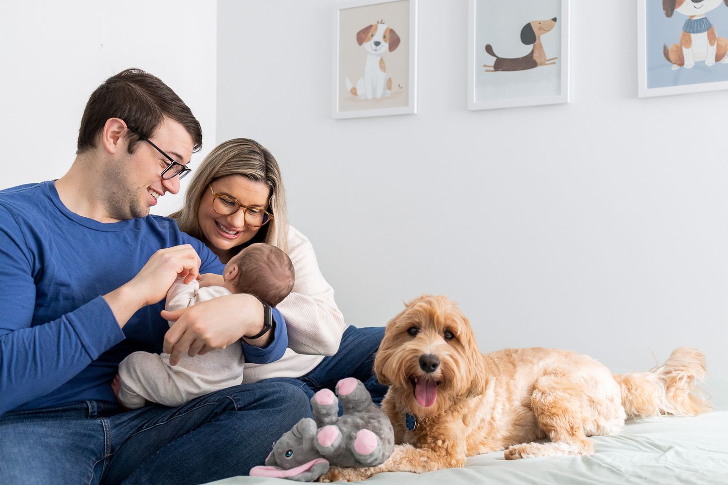 A collage of family photos showing parents with their newborn baby and golden retriever dog in a bright white bedroom.