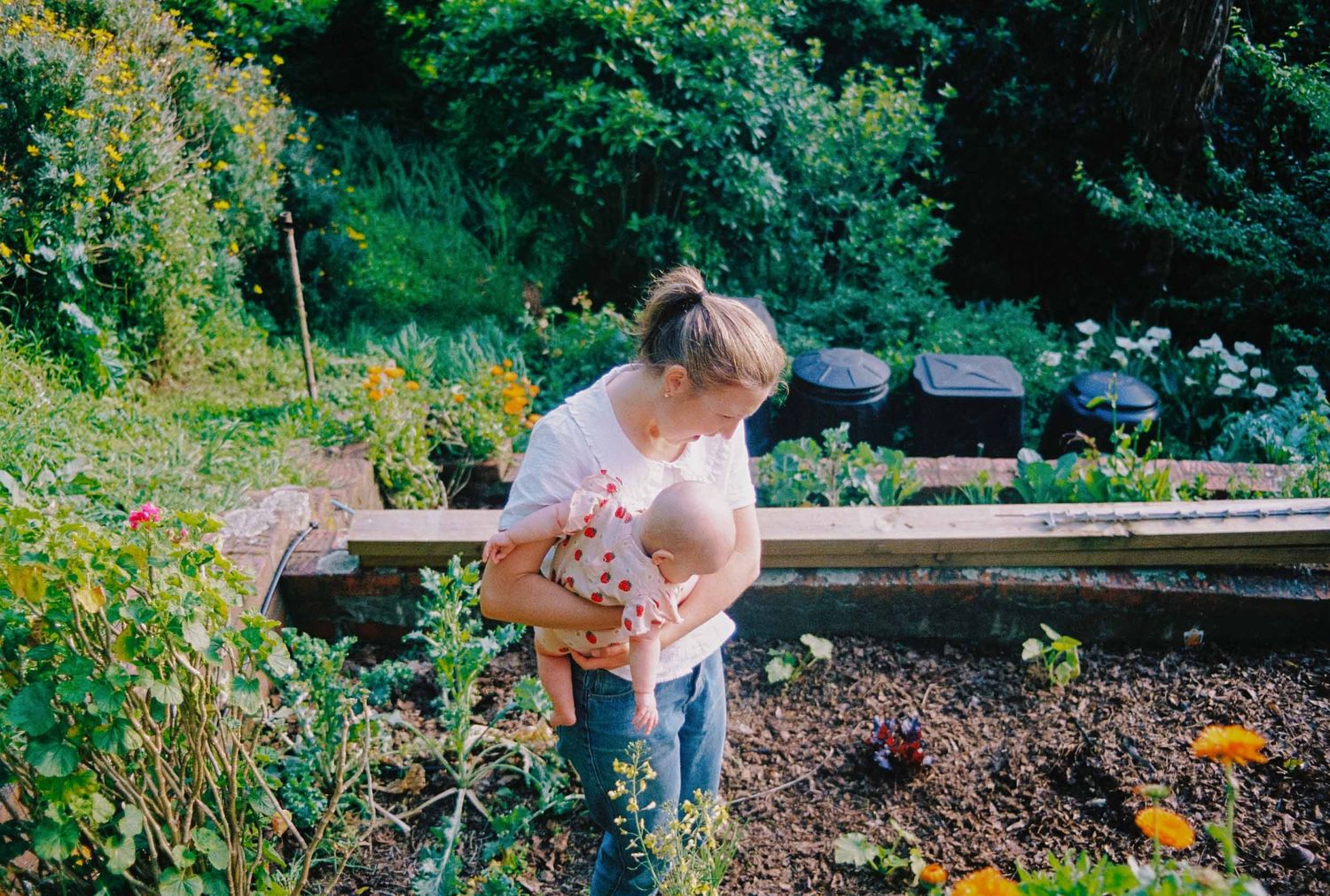 A gardener in a white top and jeans tends to a colorful flower garden bed on a sunny summer day.