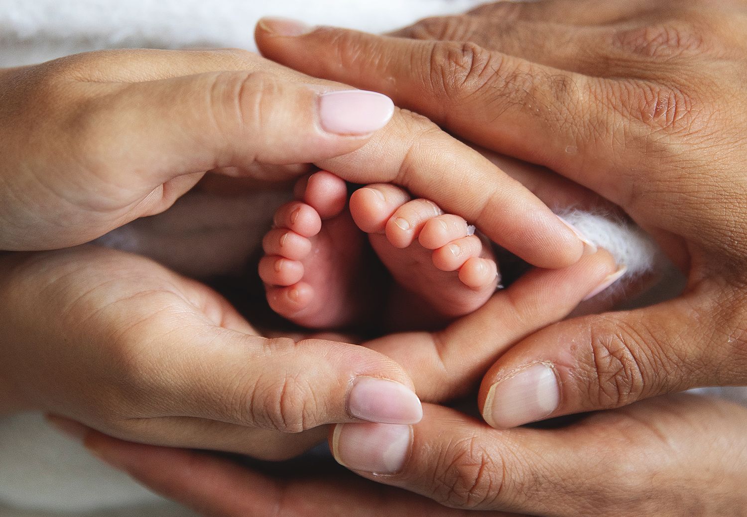 Adult hands gently cradle tiny newborn baby feet in a tender moment. During a newborn photoshoot in Bexley