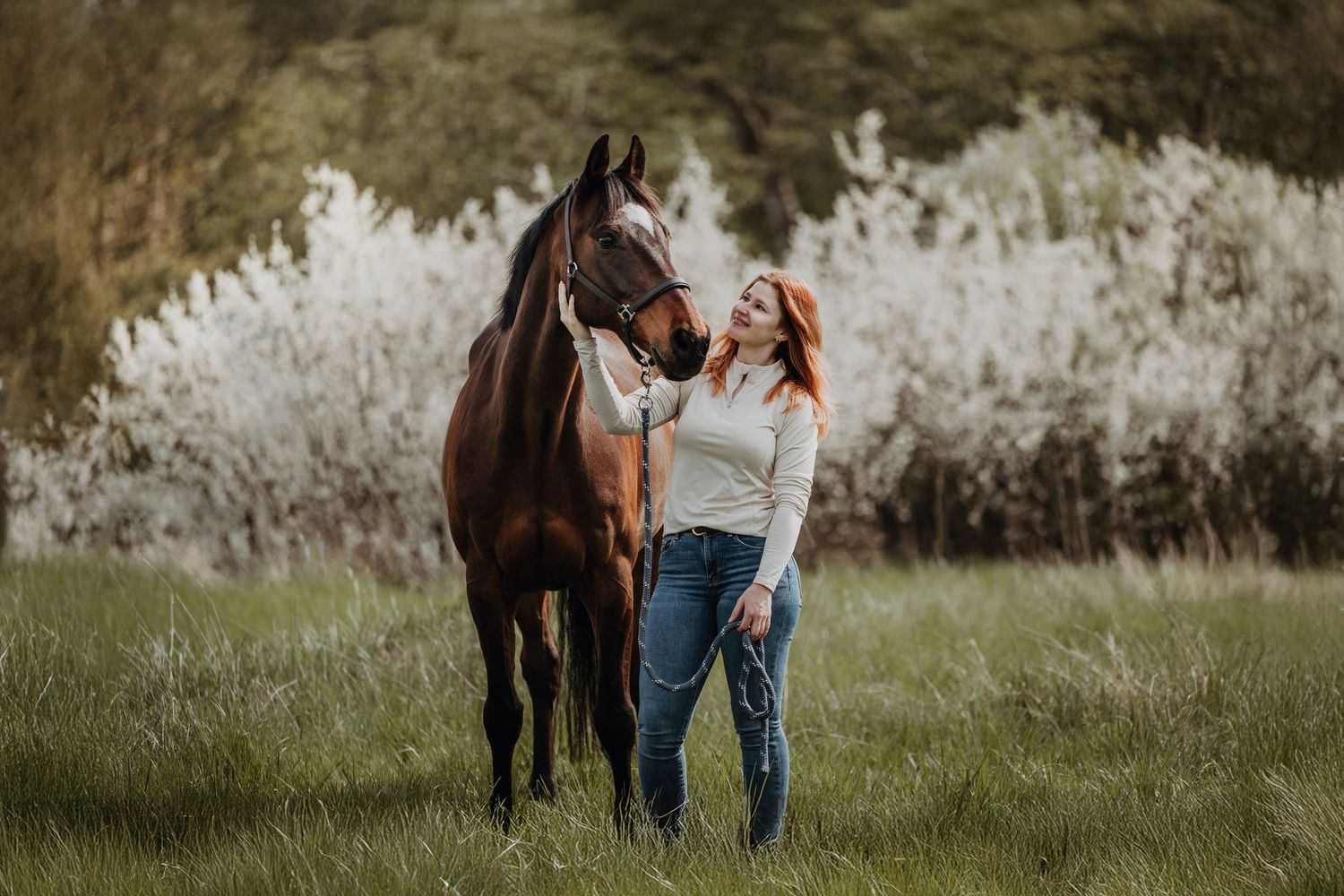A beautiful dark brown horse stands in a lush green field with white flowering bushes in the background.