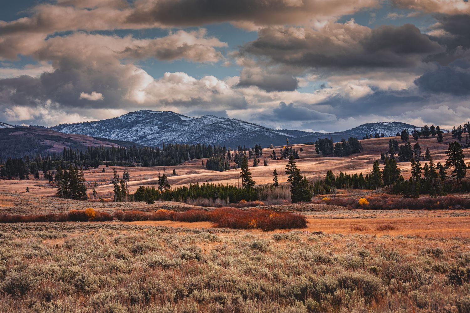 Snow-capped mountains rise behind golden prairie grasslands under dramatic cloudy skies.