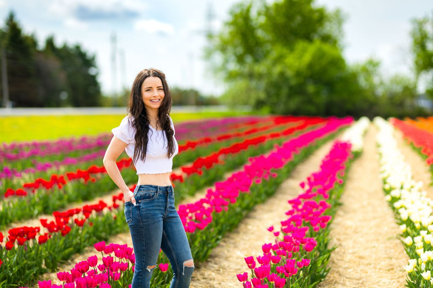 A woman stands among vibrant rows of red and pink tulips in a blooming flower field on a sunny spring day. Ottawa Wedding Photographer