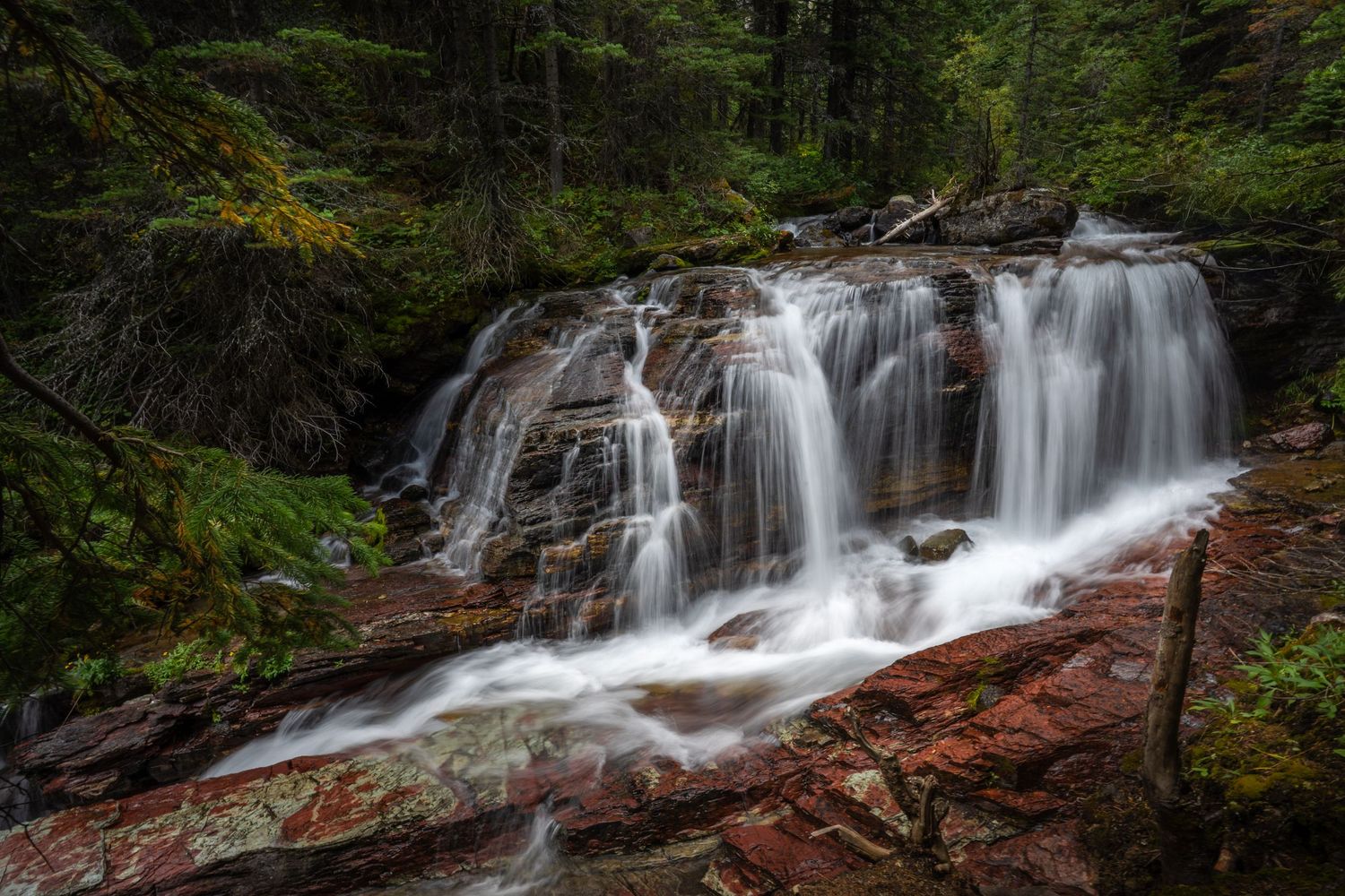 A cascade along the hike to Lineham Falls in Waterton Lakes National Park, Alberta, Canada.