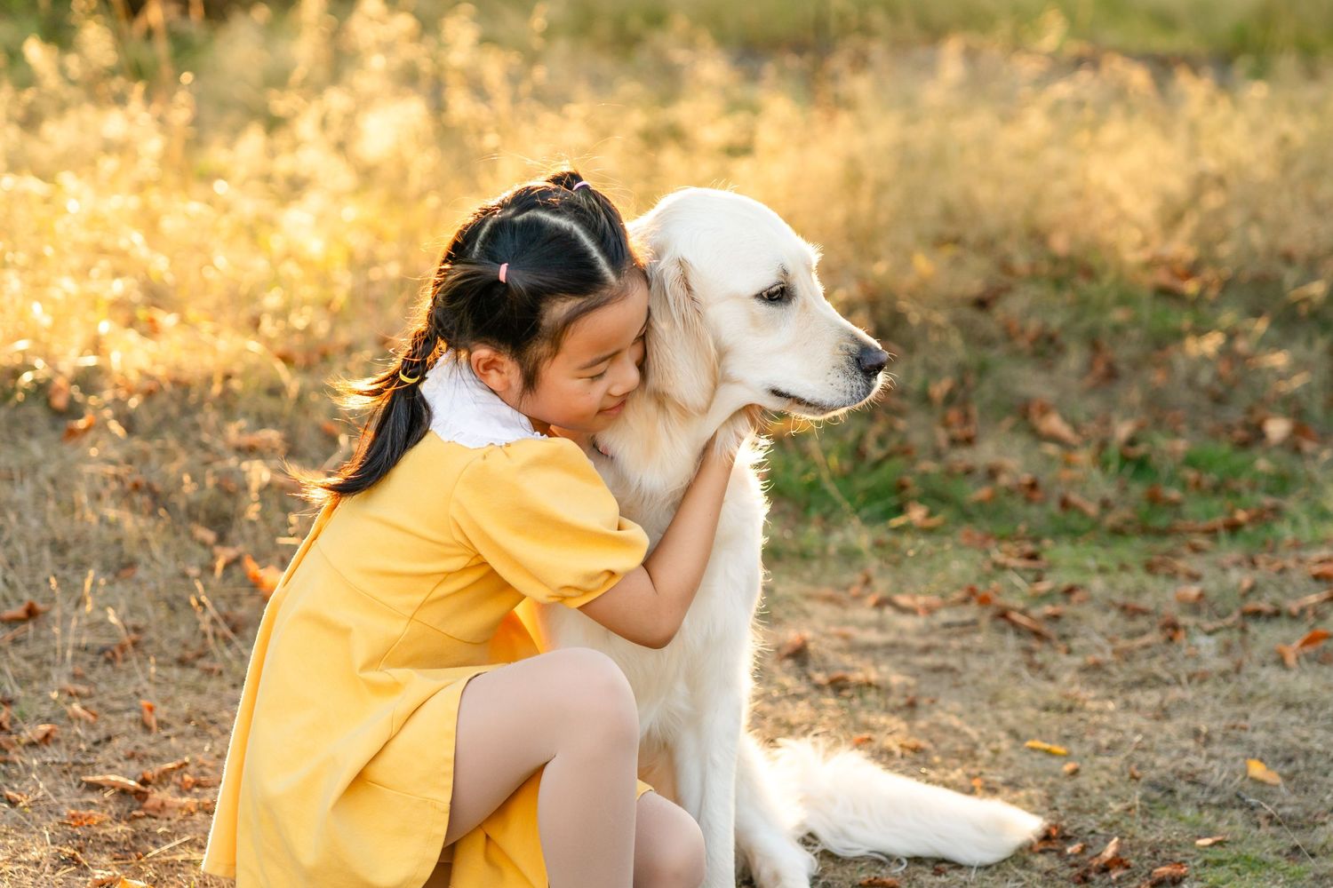 Girl hugging her golden retriever at sunset.