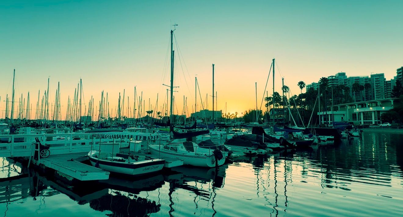 Sailboats docked at a marina during a golden sunset with calm reflective waters and palm trees in the background.