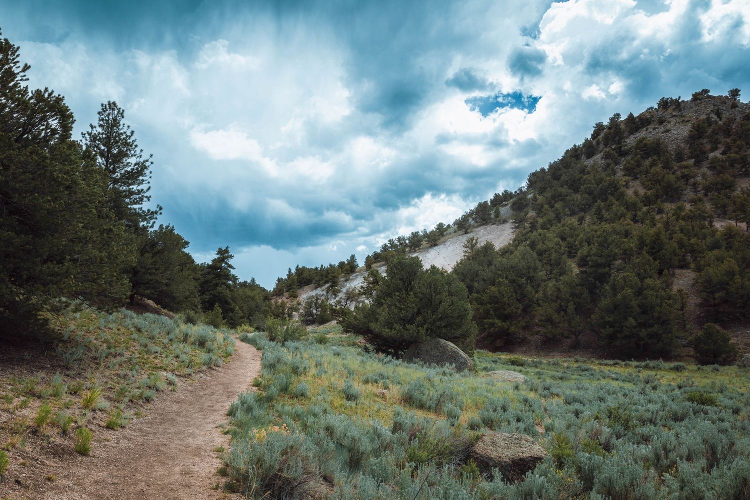 trail in the mountains of colorado