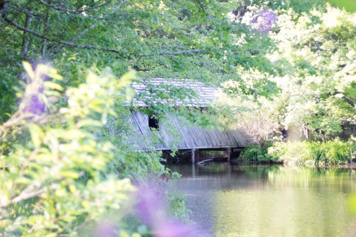 Covered bridge on lake at Madison County Nature Preserve