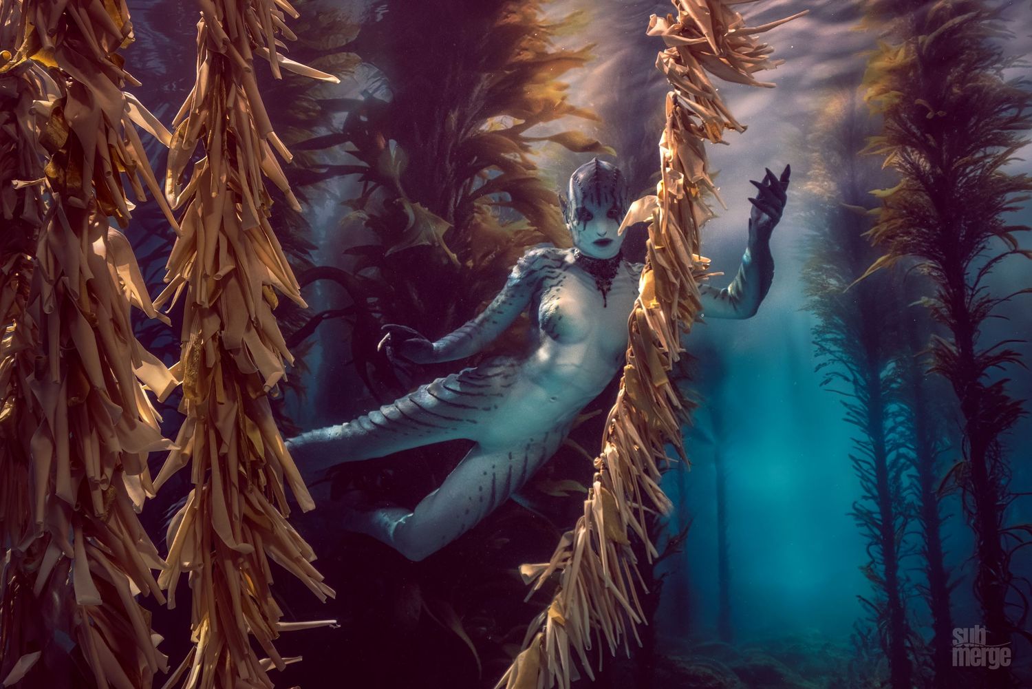 Several kelp fronds float gracefully underwater in a dark turquoise ocean setting, creating a moody, ethereal atmosphere perfect for underwa