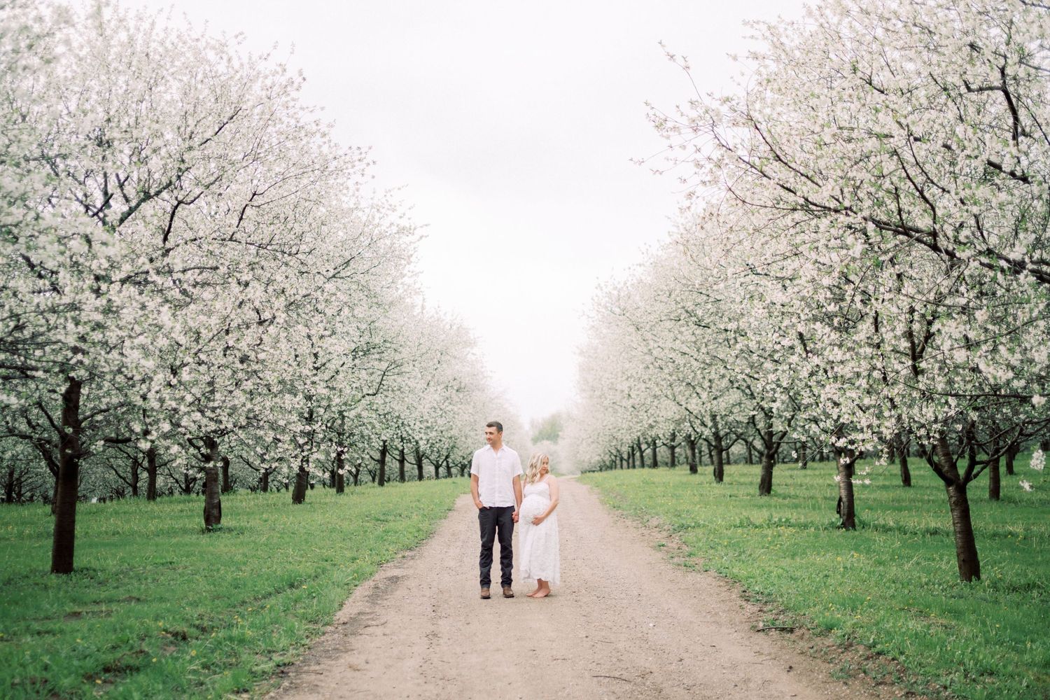 Couple walking down a gravel path lined with blooming white cherry blossom trees in spring.