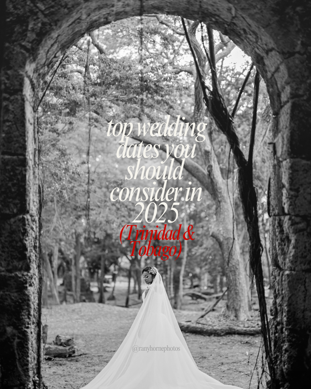 Black and white archway framing a wedding dress with overlaid text about 2025 dates.