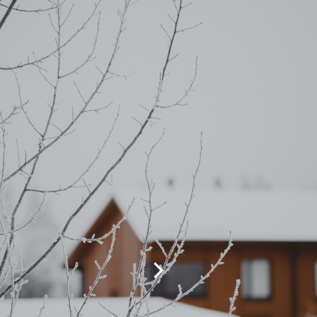 Frost-covered tree branches frame a rustic brown cabin against a misty winter landscape.