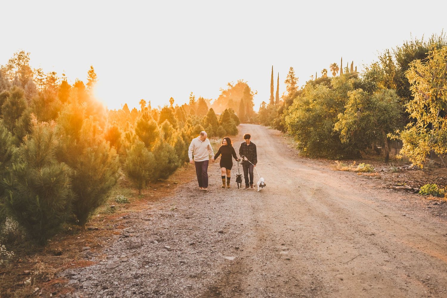Silhouettes of people walking on a desert path during golden sunset with saguaro cacti in the background.