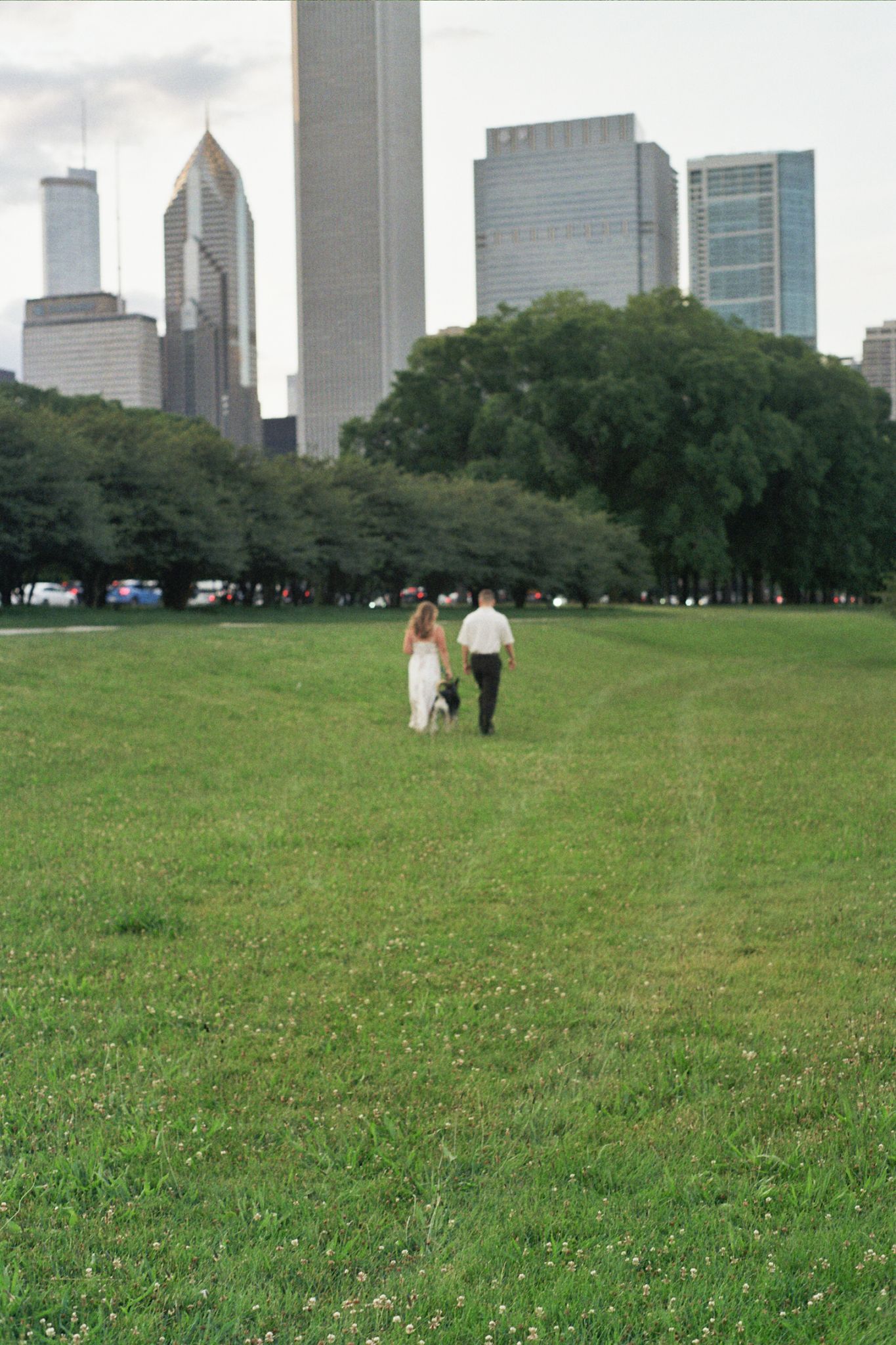 Couple in wedding attire walking through green park with Chicago city skyline skyscrapers in background.
