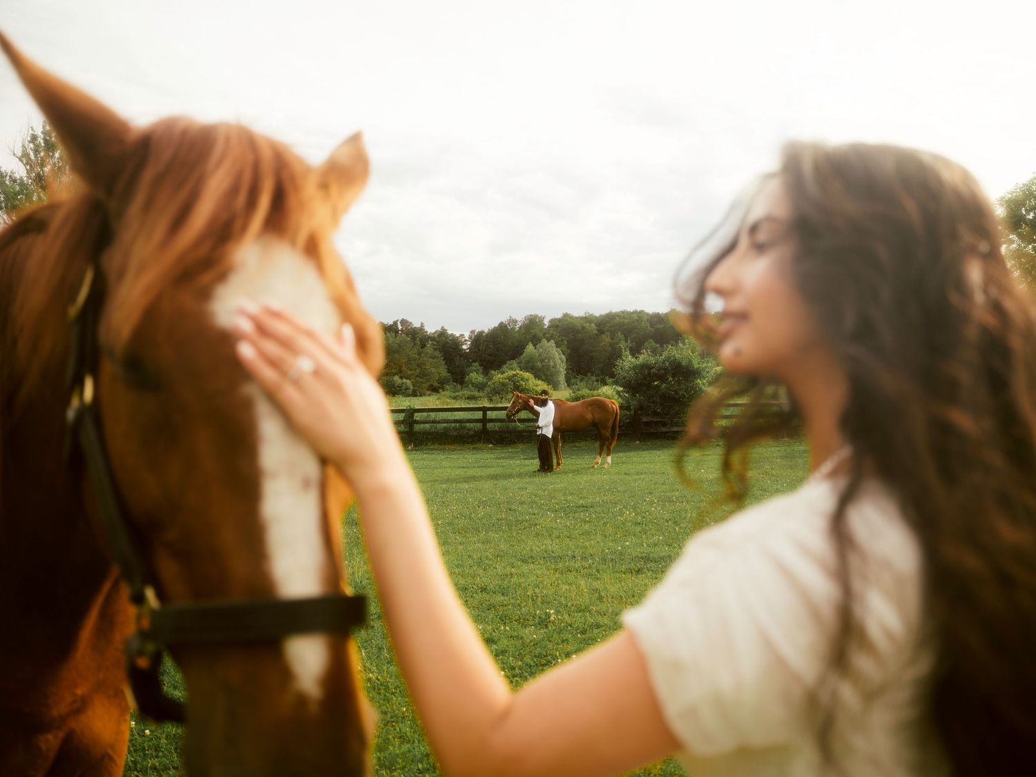 Woman gently petting a chestnut horse on a lush green farm with a couple and horses in the background.