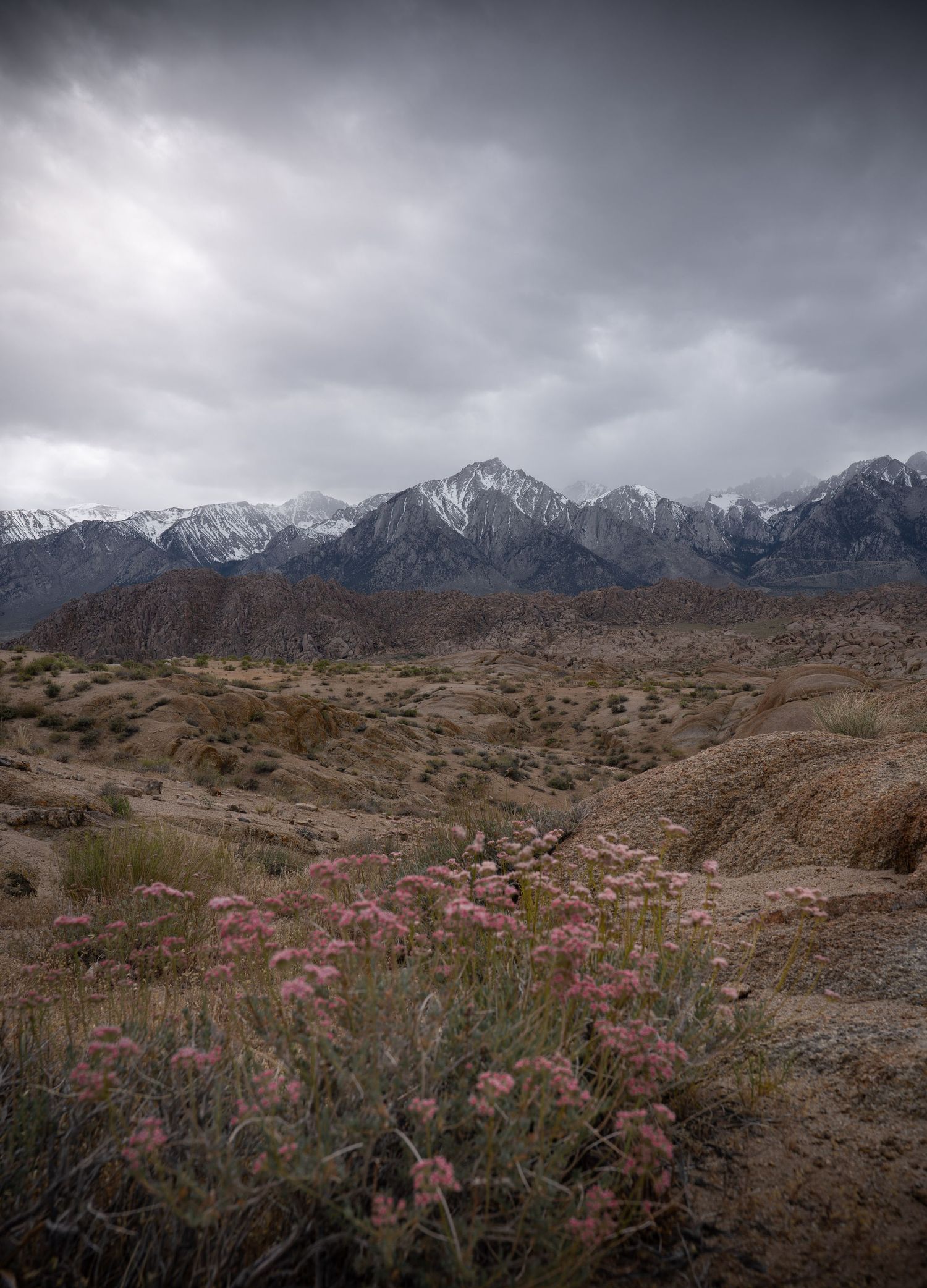 A dramatic skyscape looms over the Alabama Hills in California.