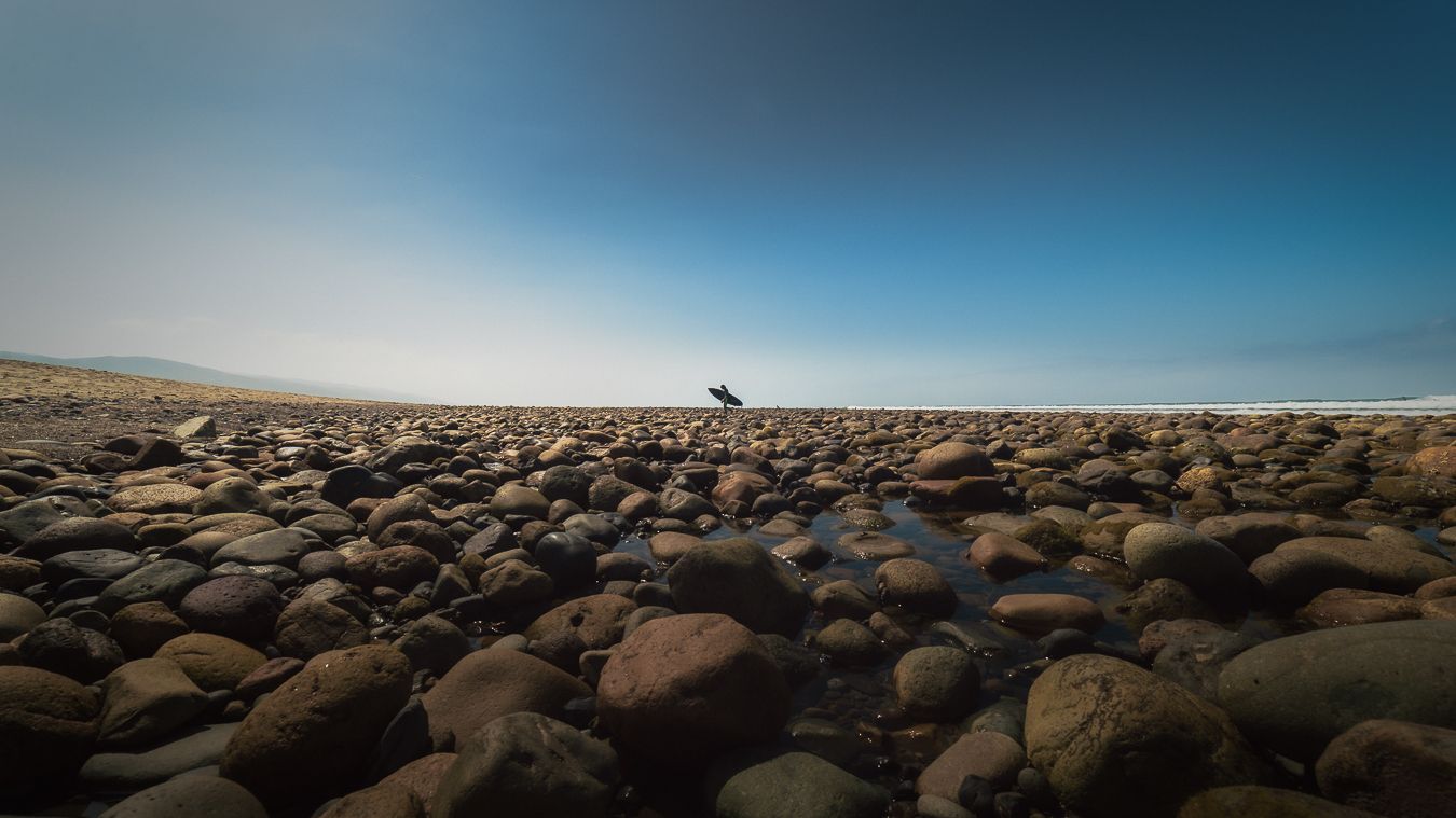 A lone bird stands on a rocky pebble beach under a clear blue sky near the ocean shoreline.
