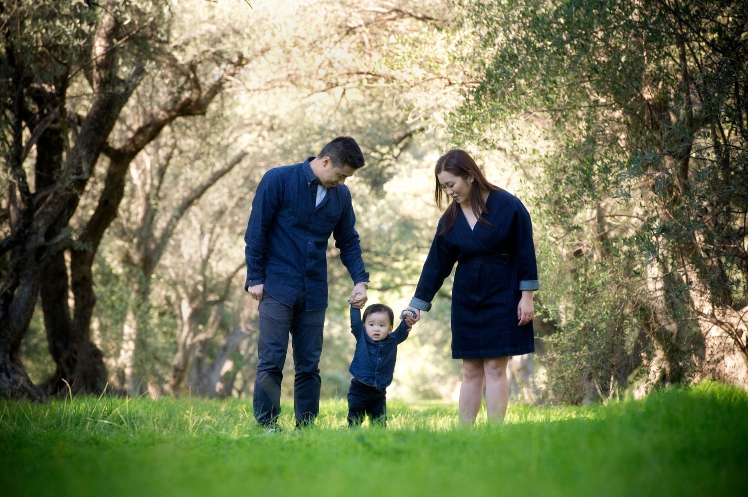 Family walking together through a scenic tree-lined path in nature.