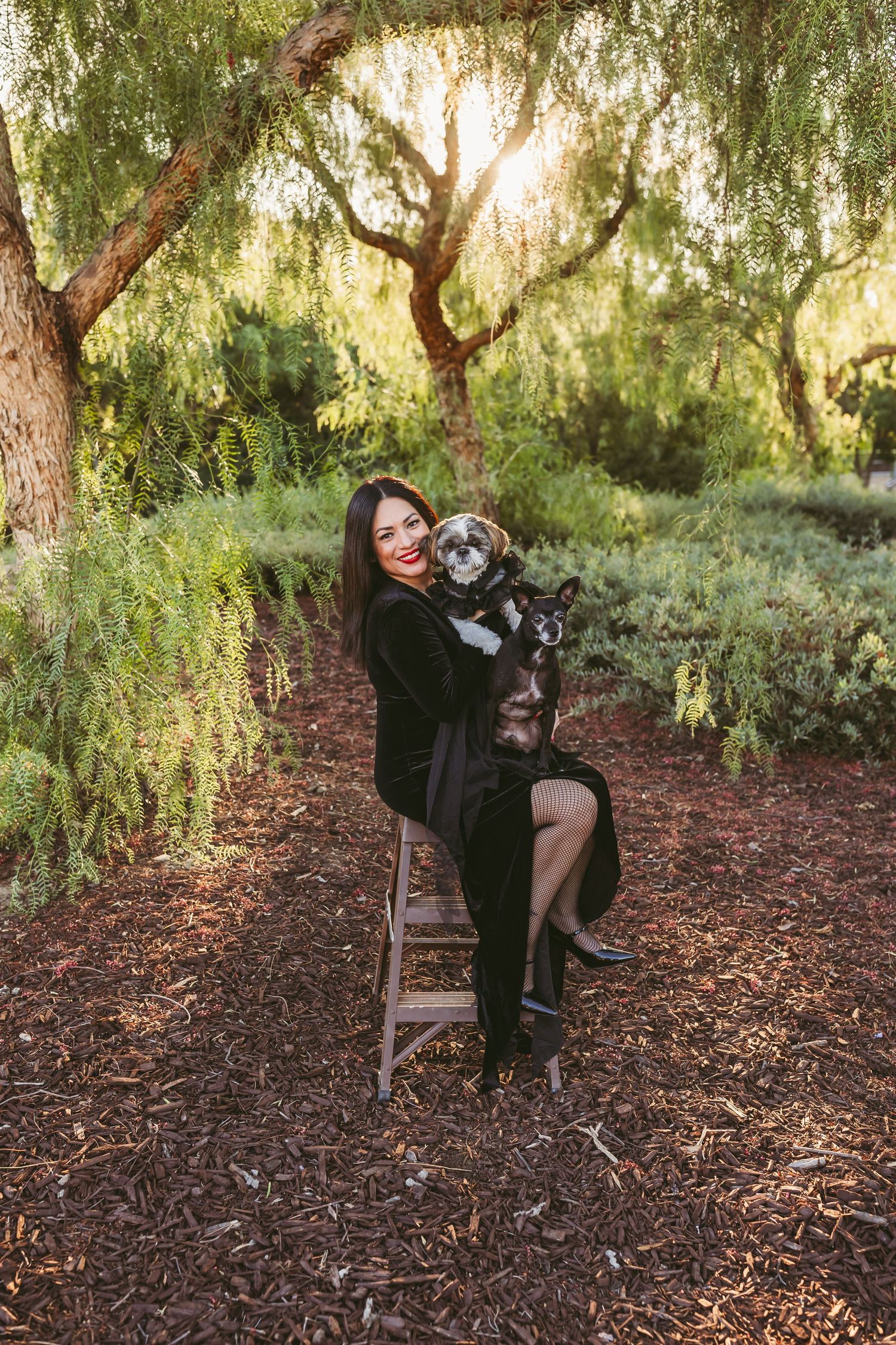 A dog and its companion rest peacefully under the serene canopy of willow trees in a tranquil garden setting.
