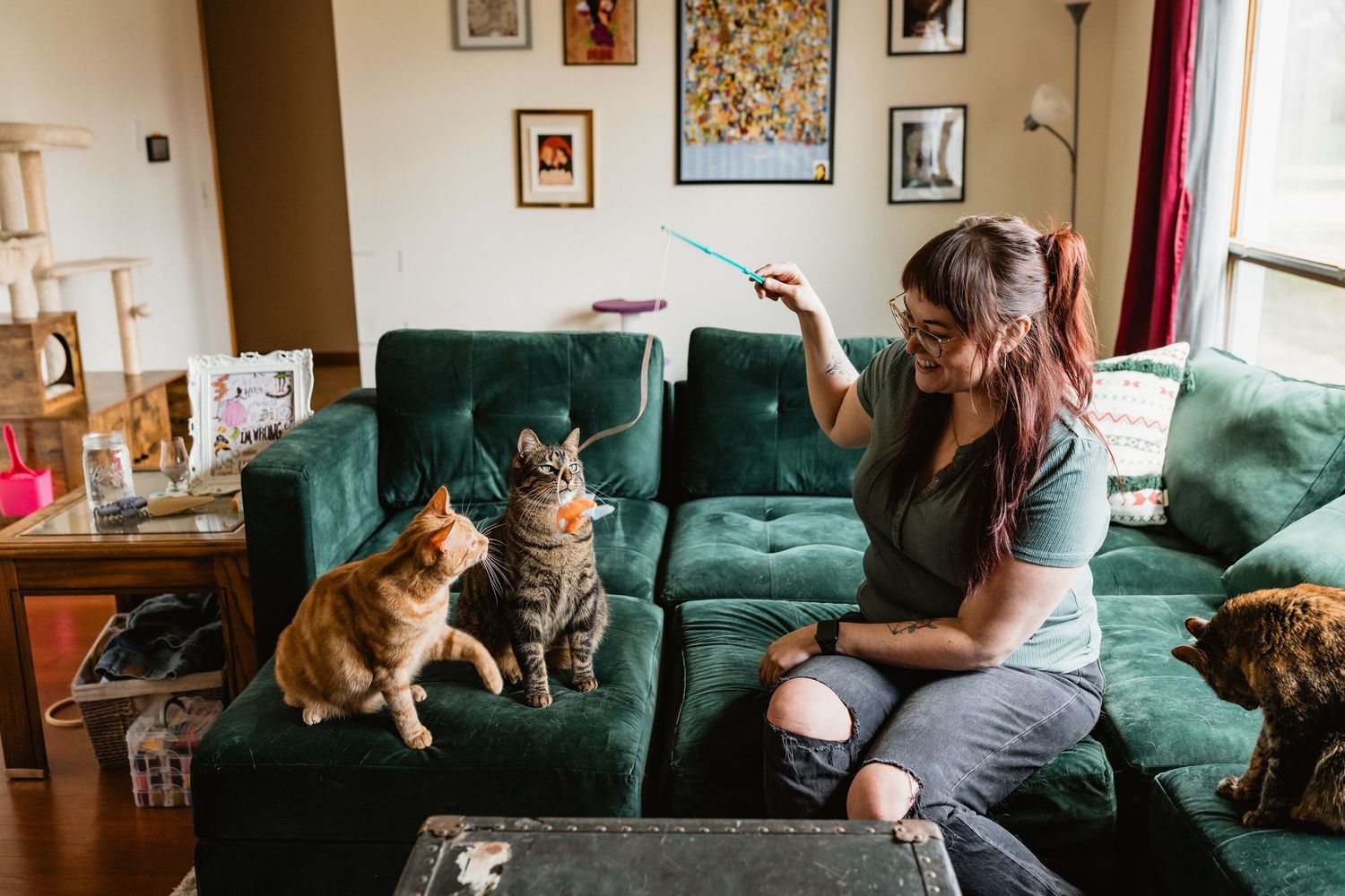 Gwen holds a toy while two of her three cats watch and play.