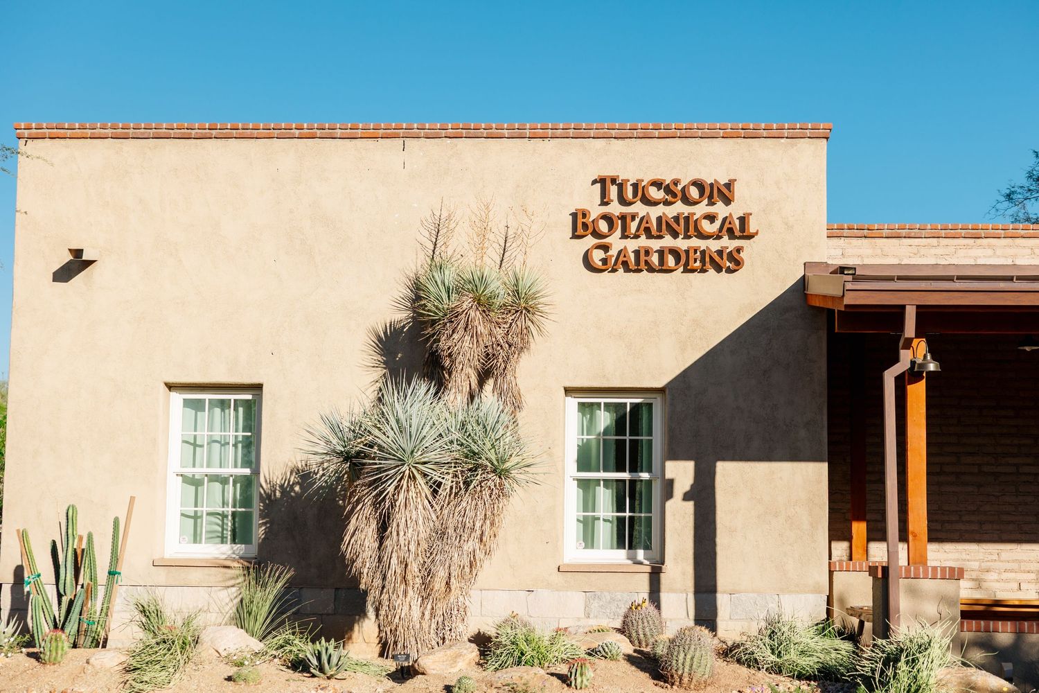 Adobe-style buildings with desert landscaping at the entrance of Tucson Botanical Gardens in Arizona.