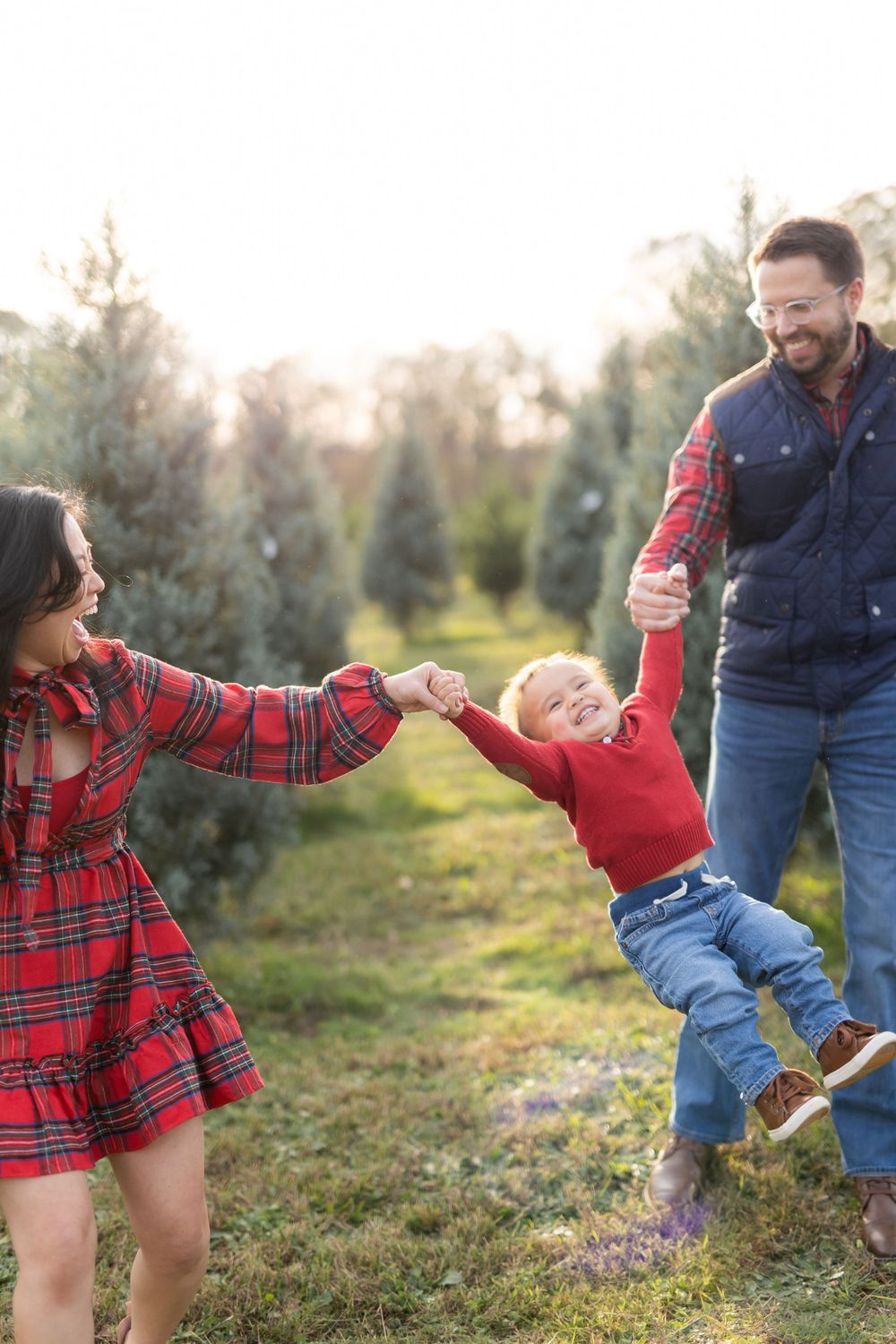2024 Christmas Tree Farm Minis + Sessions - Ruby & Olive Co