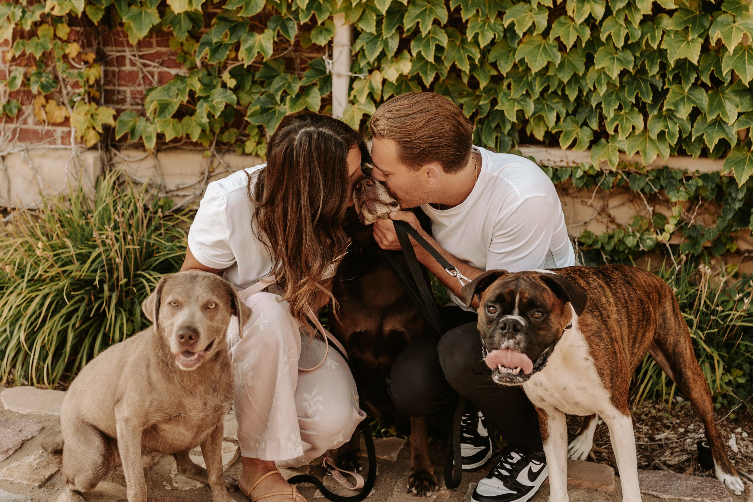 Couple sits together with their three happy dogs against an ivy-covered wall and garden backdrop.