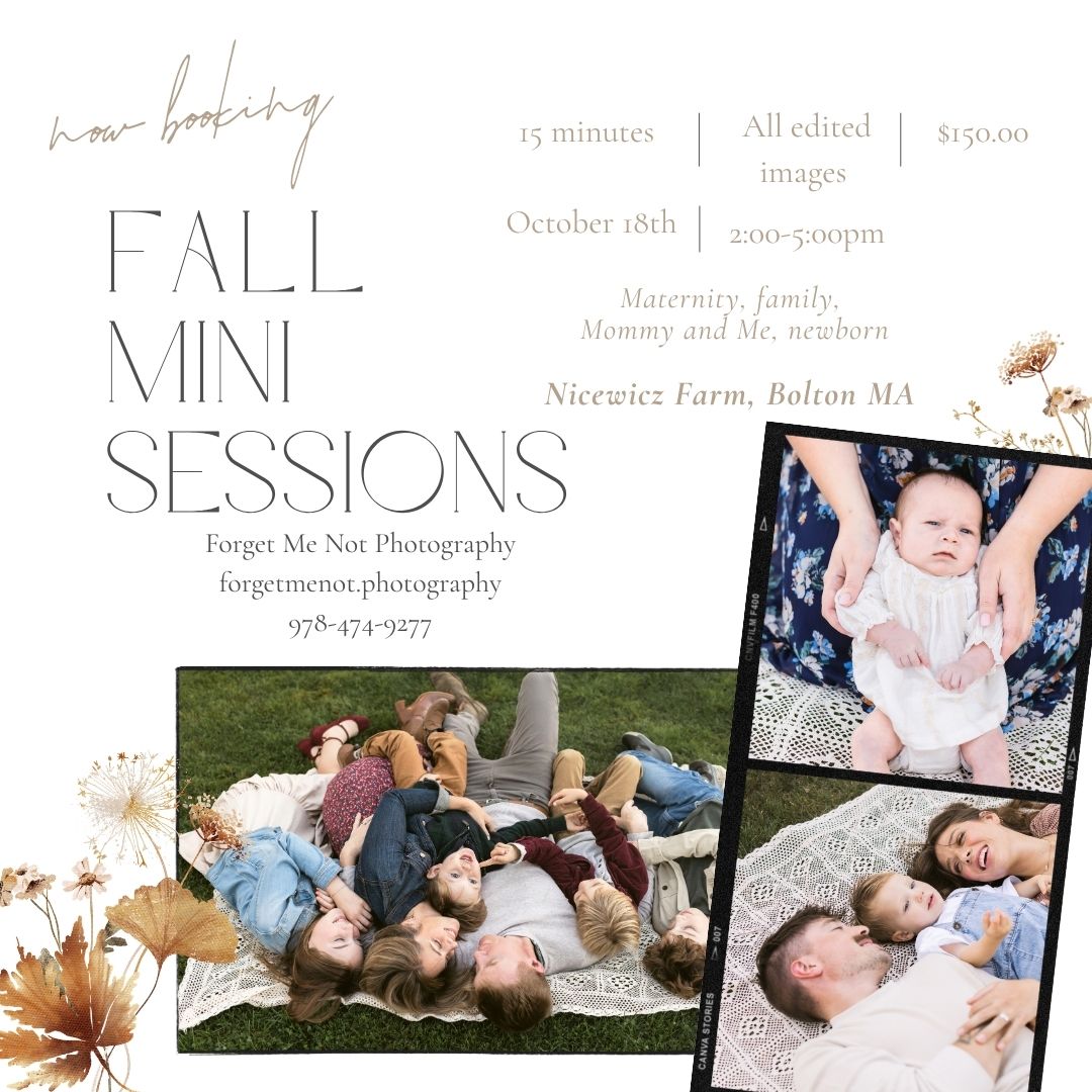 Fall mini shoots at Nicewicz Farm in Bolton, MA for families, Mommy & Me, maternity, and newborn sessions. Concord maternity photographer