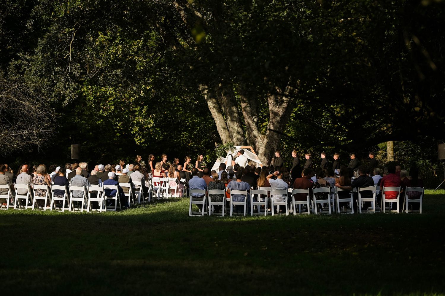 Outdoor wedding ceremony with guests seated in white chairs beneath a large shady tree at sunset.