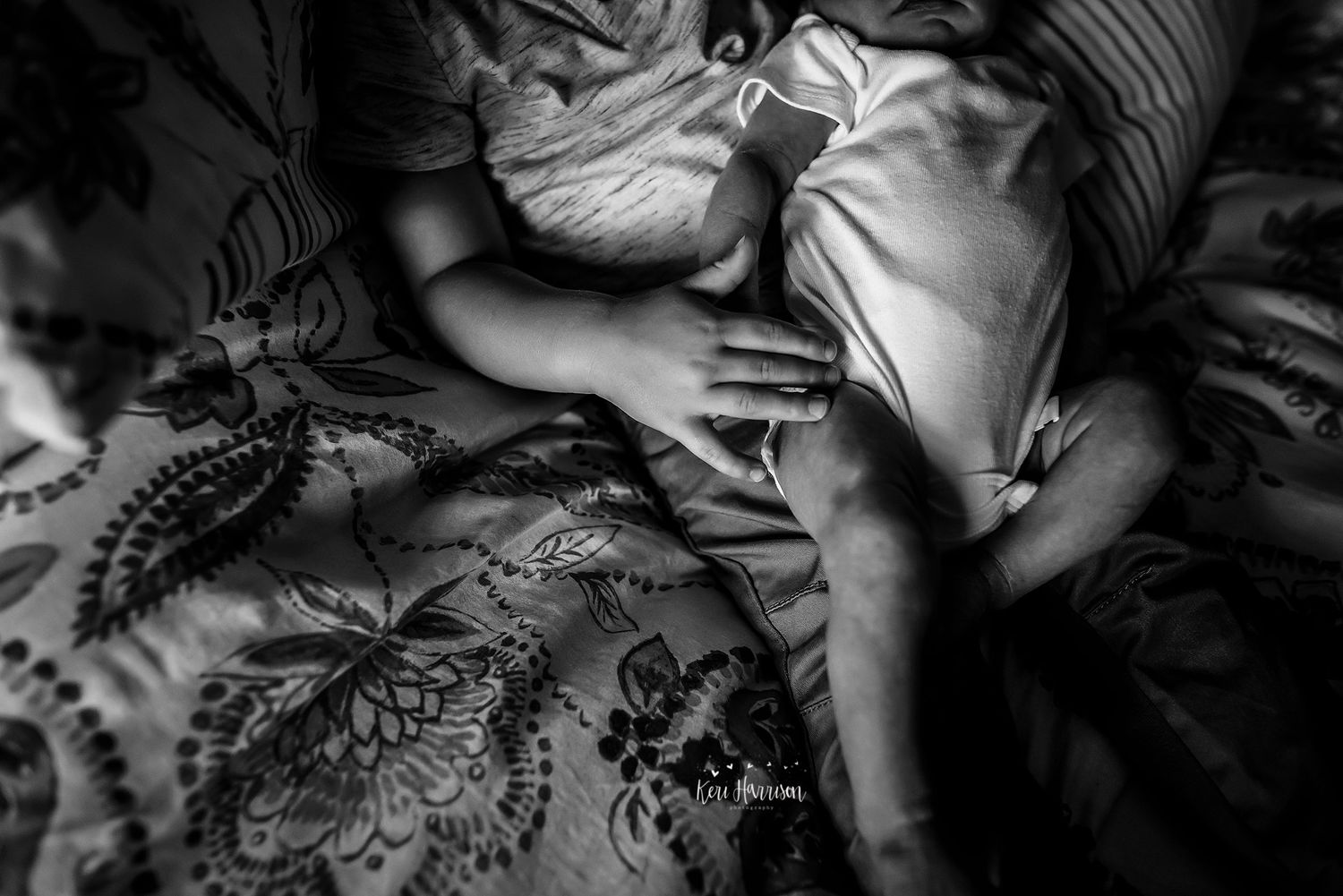 Bay City Newborn Photographer