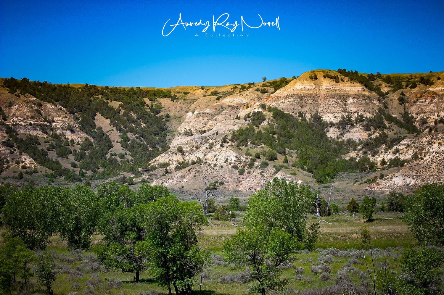 Panoramic landscape photography of badlands terrain under bright blue skies.
