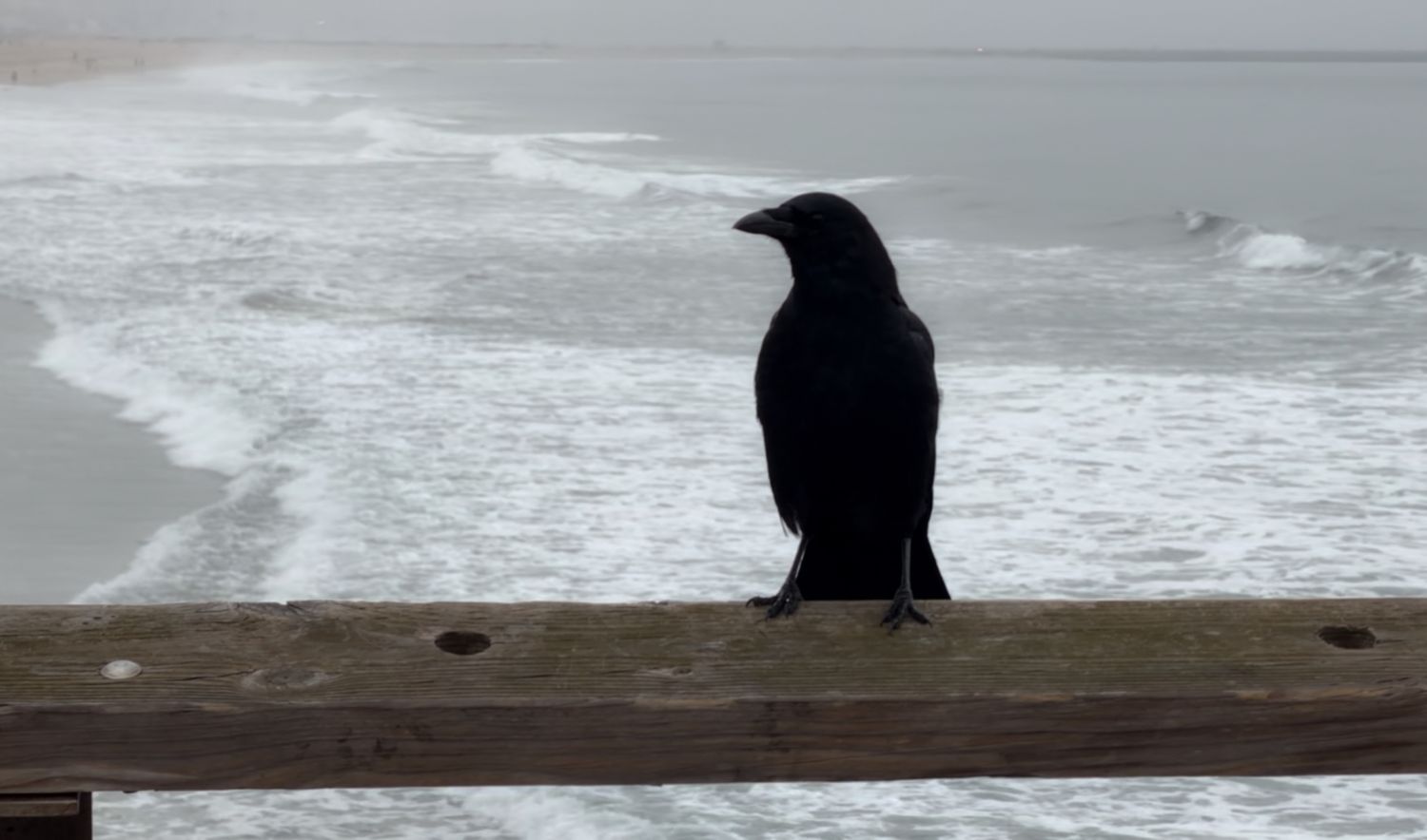 Silhouettes standing against misty ocean waves and wooden railing.